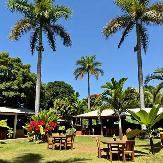 Descubra o que Fazer em Enjoy Maranhão