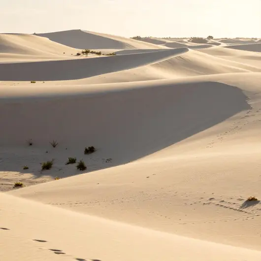 Explorando Lumoa Dunes