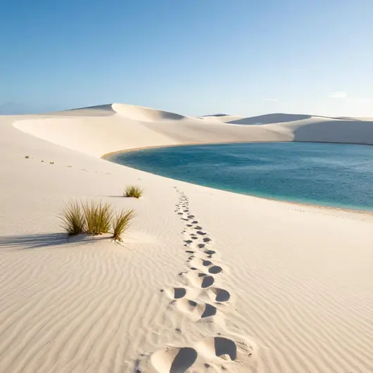 Trilha Tour: Uma Experiência Inesquecível nos Lençóis Maranhenses