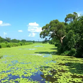road trips Brasil