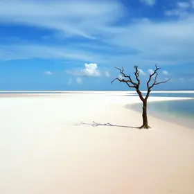 Lençóis Maranhenses
