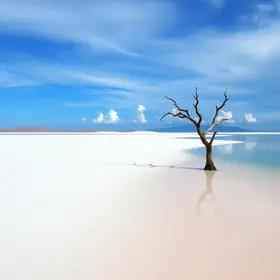 Nasa destaca Lençóis Maranhenses: ‘Deserto feito de água’ no Brasil Lençóis Maranhenses