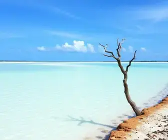 Lagoas de água doce se formam nos Lençóis Maranhenses Lagoas nos Lençóis Maranhenses