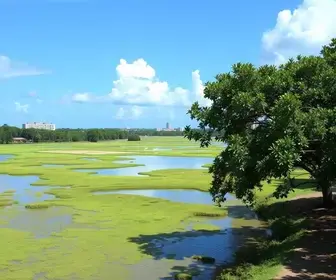 Uma cidade maranhense na borda dos Lençóis concentra boa parte das lagoas que não secam no parque e recebe turistas dentro das casas dos moradores lagoas perenes Santo Amaro do Maranhão